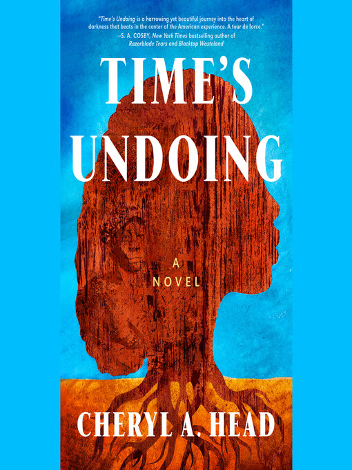 Cover of Time's Undoing